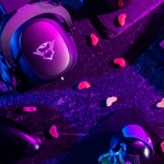 Цифровая экосистема немецких игорных порталов технологический анализ